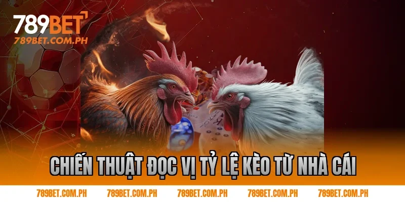 Chiến Thuật Đọc Vị Tỷ Lệ Kèo Từ Nhà Cái