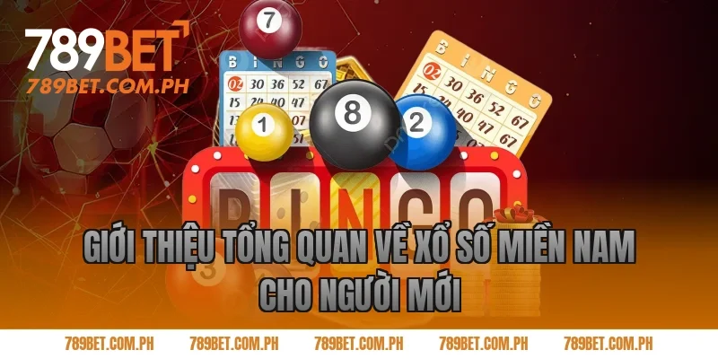 Giới thiệu tổng quan về xổ số miền nam cho người mới