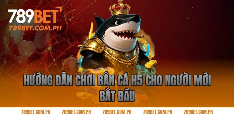 Hướng dẫn chơi bắn cá H5 cho người mới bắt đầu