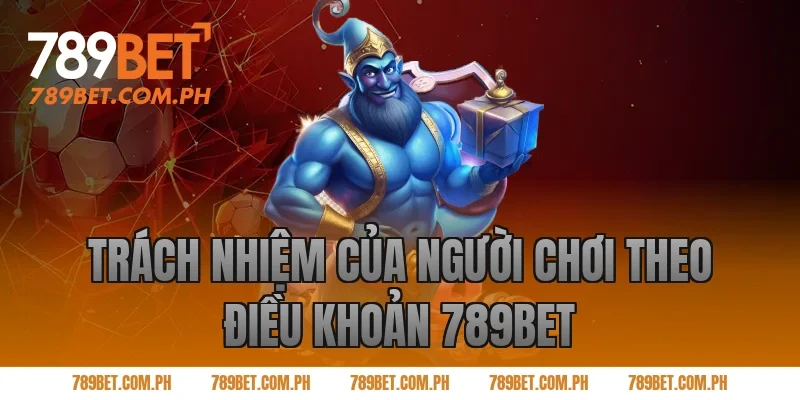 Trách Nhiệm Của Người Chơi Theo Điều Khoản 789BET